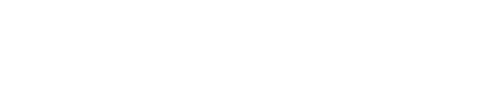 Logo CH Charles Perrens